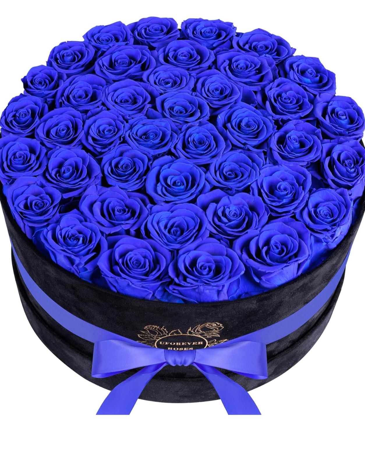 40pc Forever Roses (Royal)